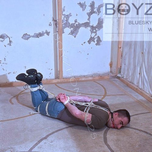 captured and hogtied